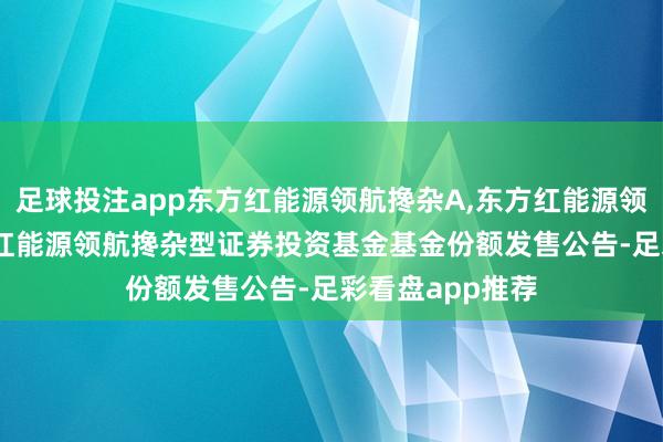 足球投注app东方红能源领航搀杂A,东方红能源领航搀杂C: 东方红能源领航搀杂型证券投资基金基金份额发售公告-足彩看盘app推荐