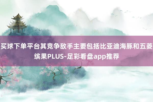 买球下单平台其竞争敌手主要包括比亚迪海豚和五菱缤果PLUS-足彩看盘app推荐