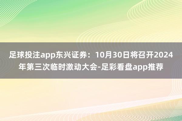 足球投注app东兴证券：10月30日将召开2024年第三次临时激动大会-足彩看盘app推荐