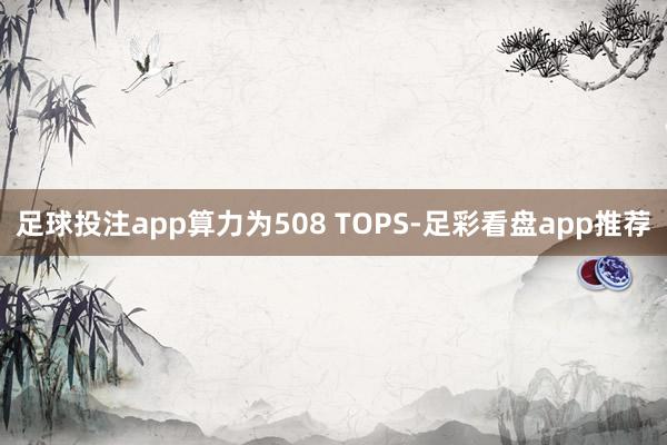 足球投注app算力为508 TOPS-足彩看盘app推荐