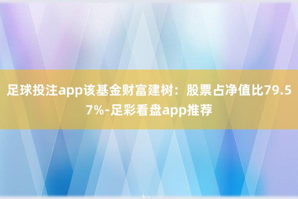 足球投注app该基金财富建树：股票占净值比79.57%-足彩看盘app推荐