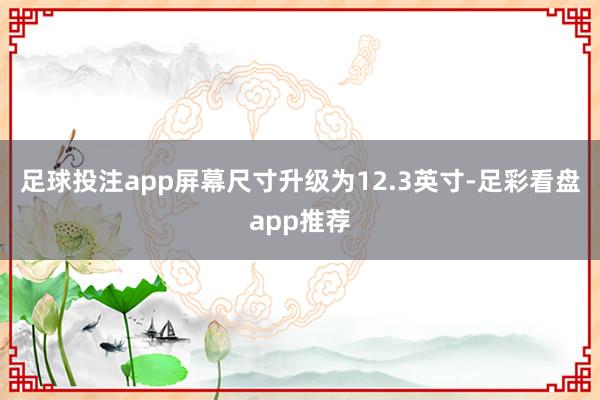 足球投注app屏幕尺寸升级为12.3英寸-足彩看盘app推荐