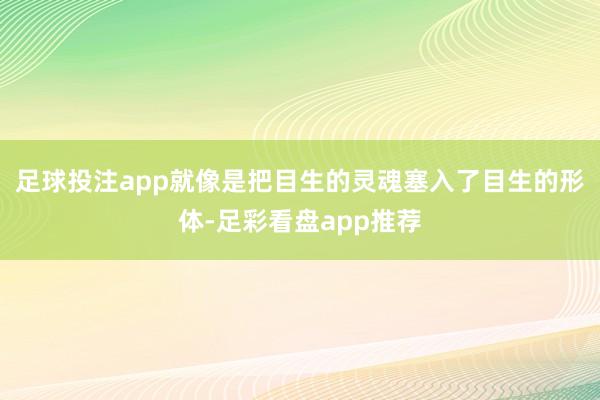 足球投注app就像是把目生的灵魂塞入了目生的形体-足彩看盘app推荐