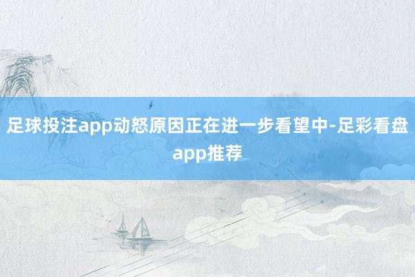 足球投注app动怒原因正在进一步看望中-足彩看盘app推荐