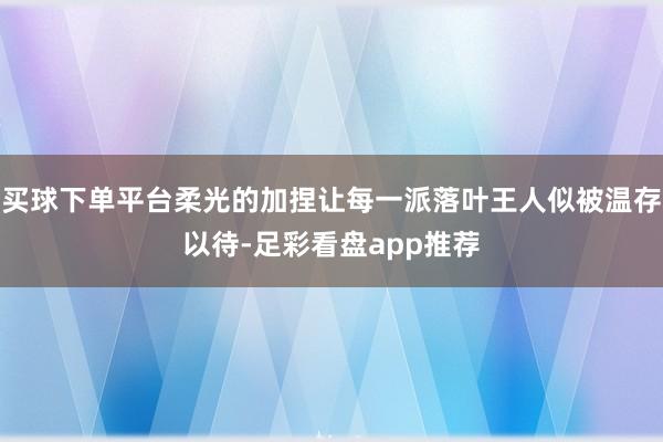 买球下单平台柔光的加捏让每一派落叶王人似被温存以待-足彩看盘app推荐