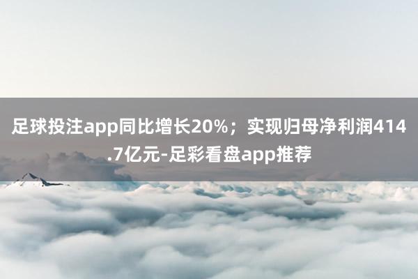 足球投注app同比增长20%；实现归母净利润414.7亿元-足彩看盘app推荐