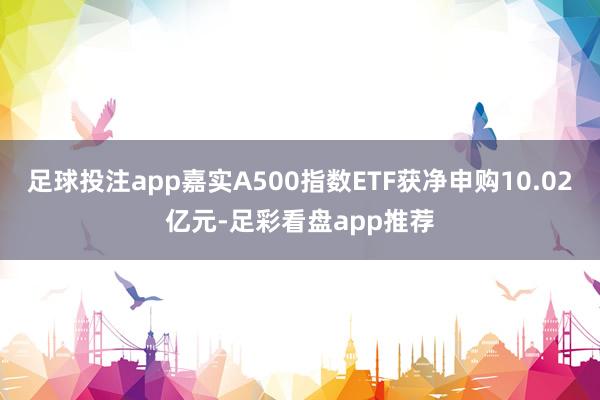 足球投注app嘉实A500指数ETF获净申购10.02亿元-足彩看盘app推荐