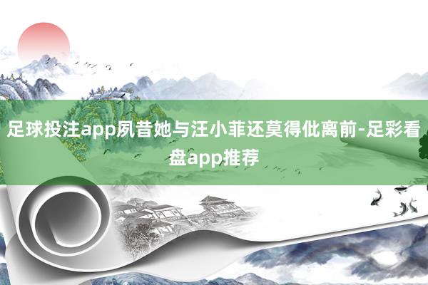 足球投注app夙昔她与汪小菲还莫得仳离前-足彩看盘app推荐