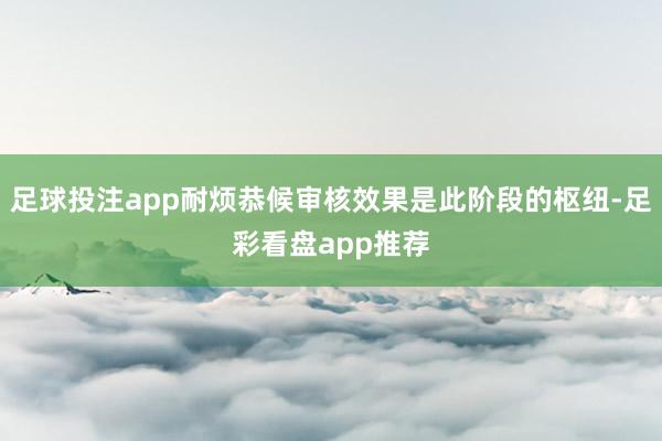 足球投注app耐烦恭候审核效果是此阶段的枢纽-足彩看盘app推荐