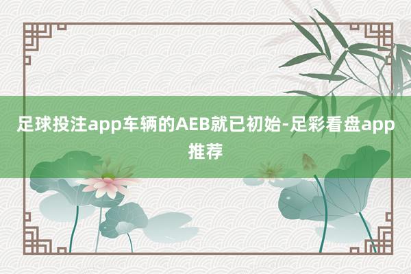 足球投注app车辆的AEB就已初始-足彩看盘app推荐