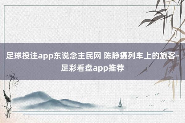 足球投注app东说念主民网 陈静摄列车上的旅客-足彩看盘app推荐