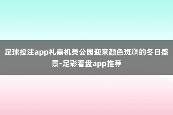 足球投注app礼嘉机灵公园迎来颜色斑斓的冬日盛景-足彩看盘app推荐