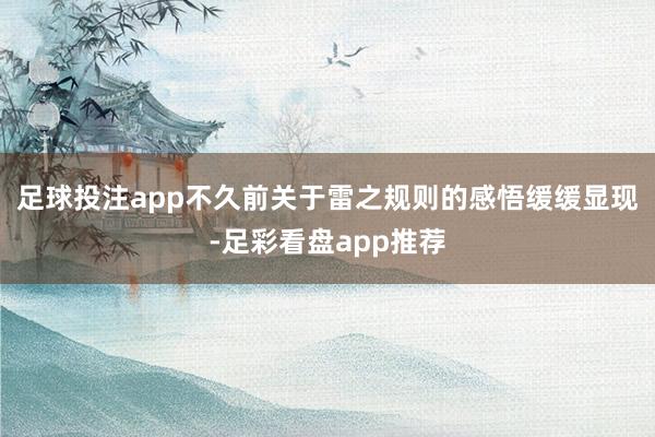 足球投注app不久前关于雷之规则的感悟缓缓显现-足彩看盘app推荐