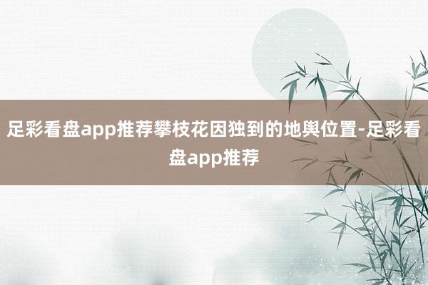 足彩看盘app推荐攀枝花因独到的地舆位置-足彩看盘app推荐