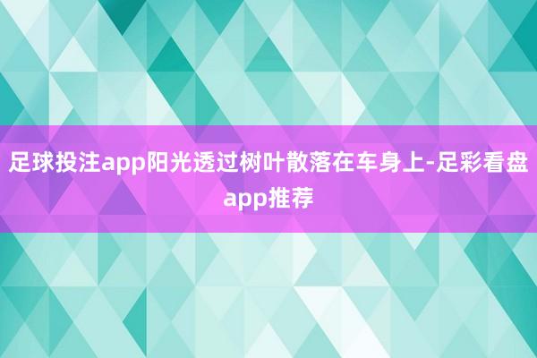 足球投注app阳光透过树叶散落在车身上-足彩看盘app推荐