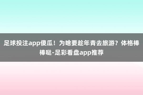 足球投注app傻瓜！为啥要趁年青去旅游？体格棒棒哒-足彩看盘app推荐