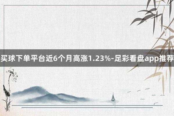 买球下单平台近6个月高涨1.23%-足彩看盘app推荐